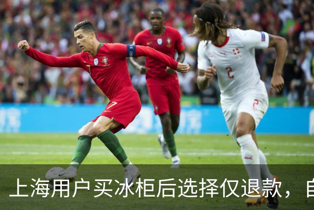 上海用户买冰柜后选择仅退款，自称冰柜"已销毁"无法退货，商家跨省索要后发现冰柜正插电使用，结局亮了